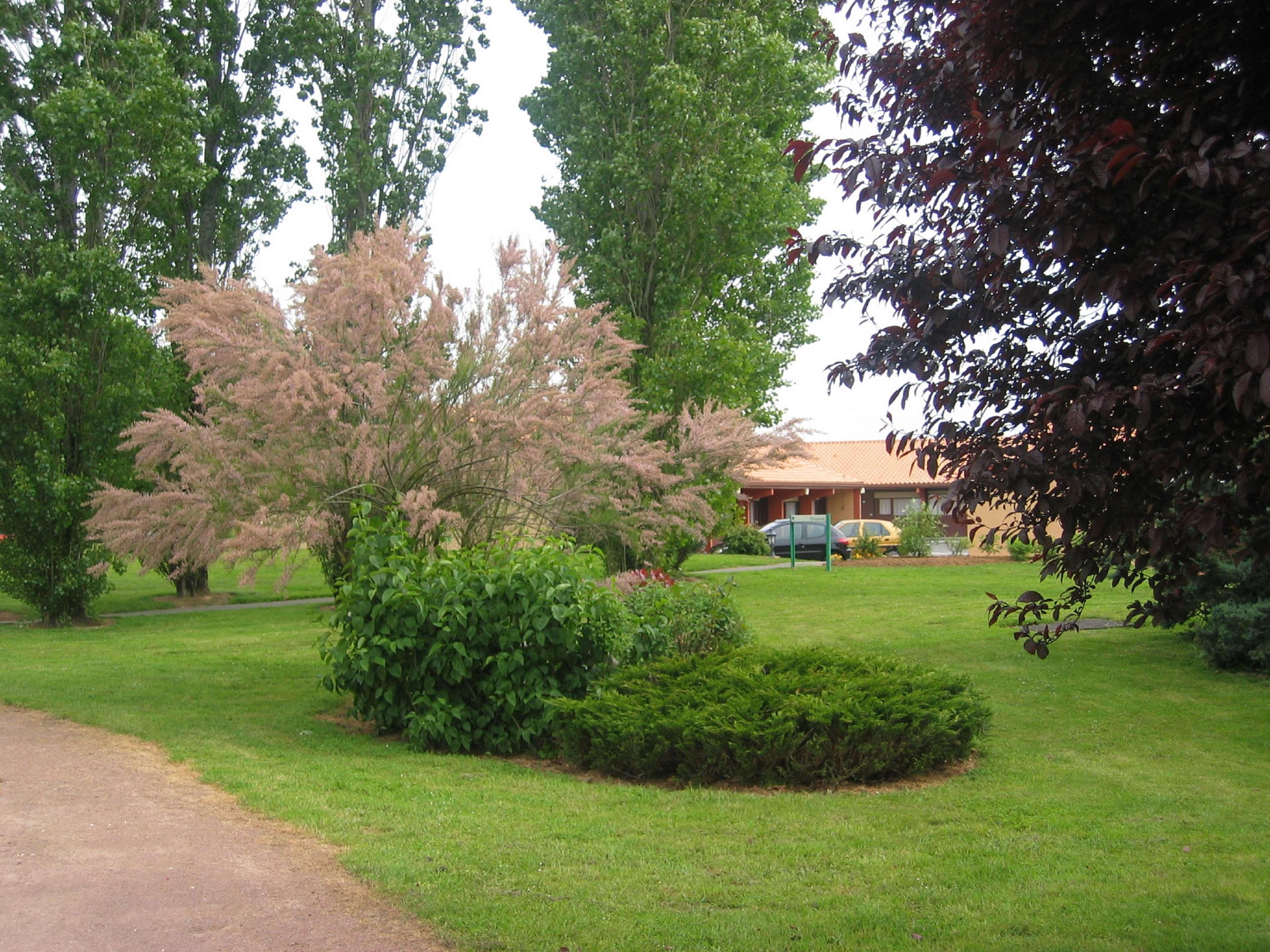 Kyriad Niort - La Creche Dış mekan fotoğraf